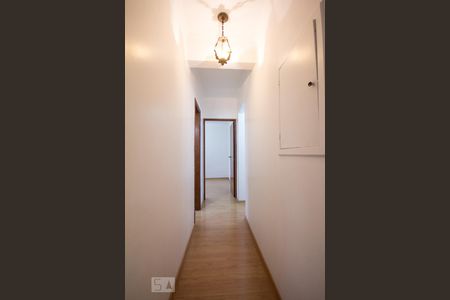 Corredor de apartamento para alugar com 3 quartos, 185m² em Centro, Campinas