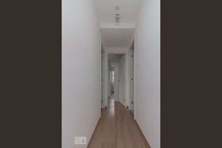 Corredor de apartamento para alugar com 2 quartos, 48m² em Parque Reboucas, São Paulo