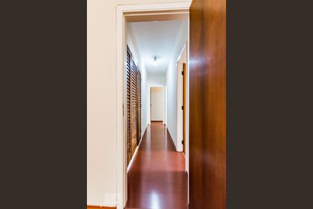 Corredor de apartamento para alugar com 4 quartos, 188m² em Centro, Campinas