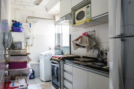 Cozinha de apartamento para alugar com 2 quartos, 39m² em São Pedro, Osasco