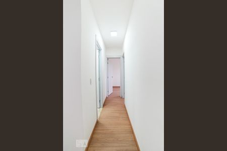 Corredor Quartos de apartamento para alugar com 2 quartos, 63m² em Vila Gustavo, São Paulo