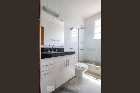 Banheiro Social de apartamento à venda com 3 quartos, 95m² em Santo Antônio, Belo Horizonte