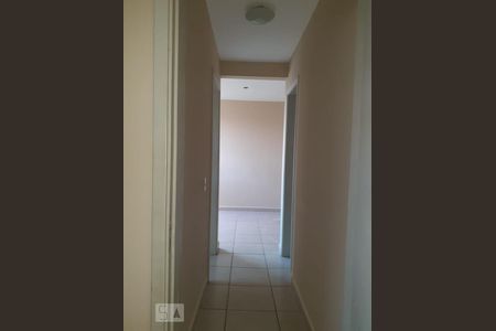 Corredor de apartamento para alugar com 1 quarto, 41m² em Jardim Márcia, Campinas