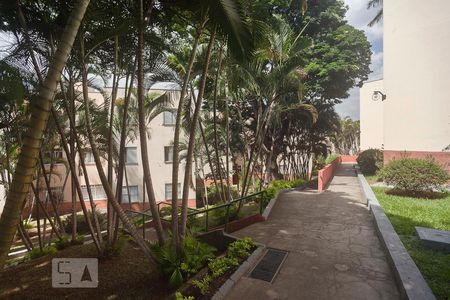 Condomínio de apartamento à venda com 3 quartos, 76m² em Jardim García, Campinas