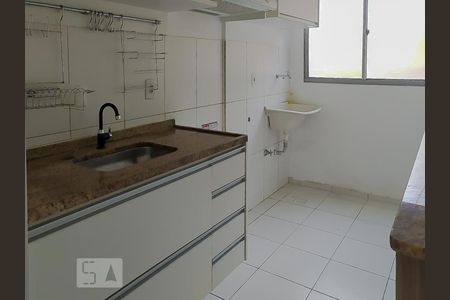 Cozinha - Armários de apartamento para alugar com 2 quartos, 50m² em Jardim Nova Europa, Campinas