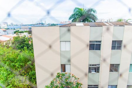 Vista do Quarto 1 de apartamento para alugar com 2 quartos, 73m² em Vila Valparaíso, Santo André