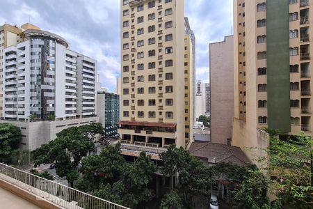 Vista de apartamento para alugar com 2 quartos, 66m² em Lourdes, Belo Horizonte
