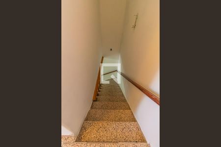 Escada Interna de casa para alugar com 2 quartos, 80m² em Vila Pires, Santo André