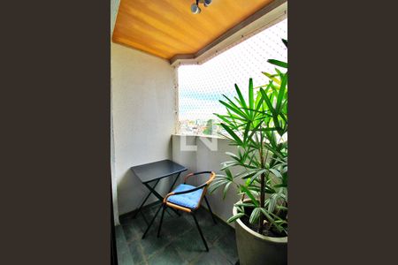 Varanda da Sala de apartamento para alugar com 3 quartos, 80m² em Vila Apiai, Santo André
