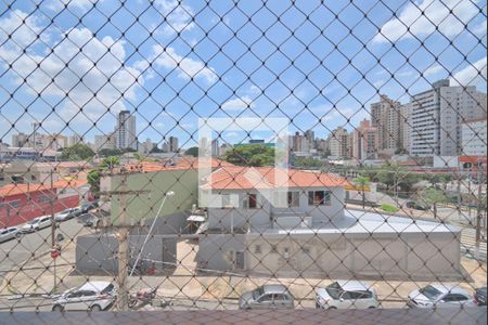 Vista da Varanda de apartamento para alugar com 3 quartos, 98m² em Vila Itapura, Campinas