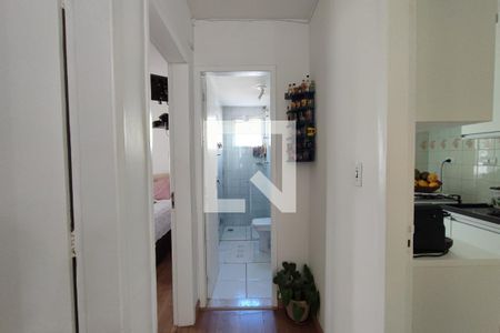 Corredor Quartos de apartamento para alugar com 2 quartos, 64m² em Jardim dos Oliveiras, Campinas