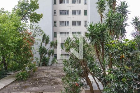 Vista Sala de apartamento para alugar com 2 quartos, 61m² em Cristal, Porto Alegre