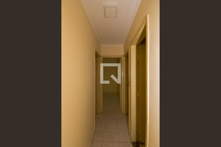 Corredor de apartamento para alugar com 3 quartos, 58m² em Vila Alpina, São Paulo