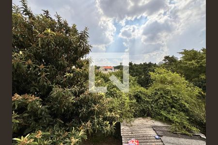 Vista do Quarto 1 de casa para alugar com 2 quartos, 40m² em Vila Guiomar, Santo André