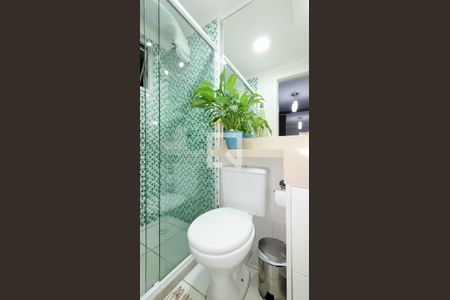 Banheiro da Suíte de apartamento para alugar com 2 quartos, 60m² em Bonfim, Campinas
